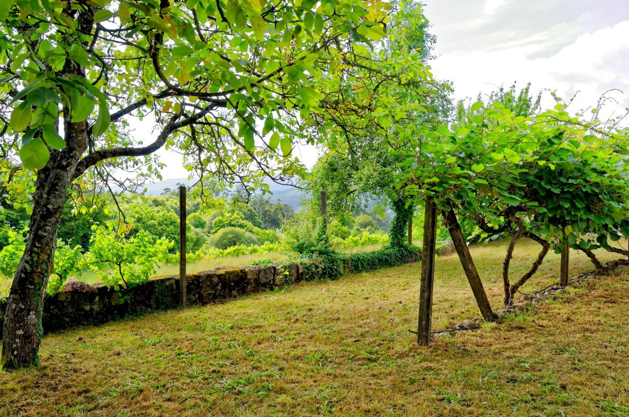 Villa Zen Vouga Ribeiradio Exterior foto