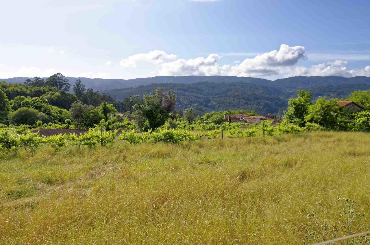 Villa Zen Vouga Ribeiradio Exterior foto