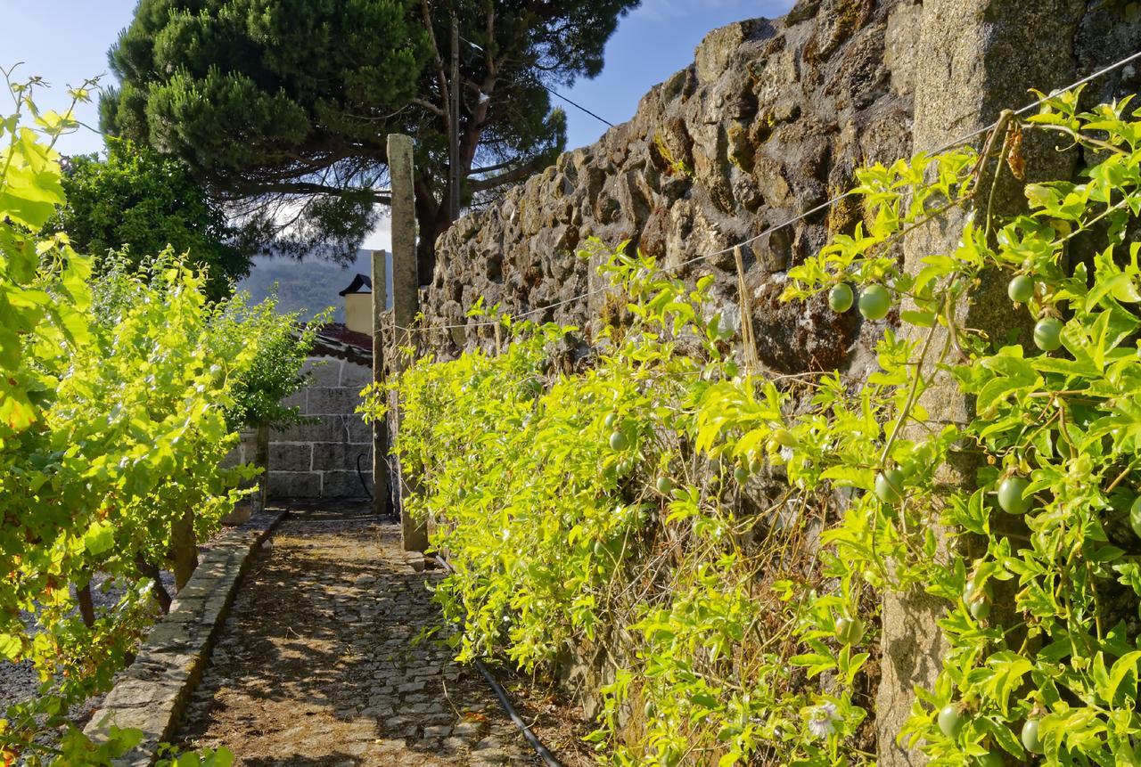 Villa Zen Vouga Ribeiradio Exterior foto